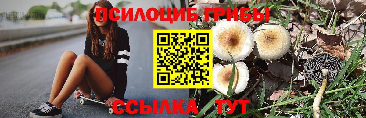 Псилоцибиновые грибы GOLDEN TEACHER  Галлюциногенные грибы MAGIC MUSHROOMS  Городец  Вход с VPN 