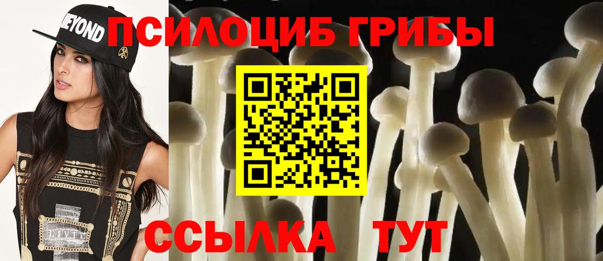 Галлюциногенные грибы мицелий Городец